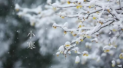 xiaohan xiaohan