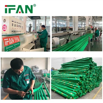 IFAN PPR Pipe